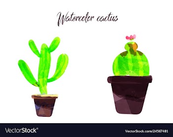 Cactus isolated on white background watercolor vector image