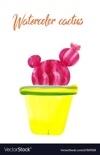 Cactus isolated on white background watercolor vector image