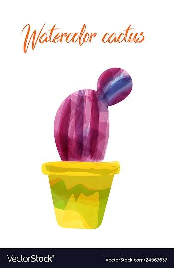 Cactus isolated on white background watercolor vector image