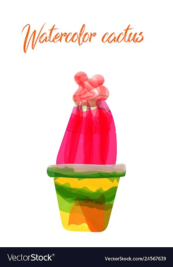 Cactus isolated on white background watercolor vector image