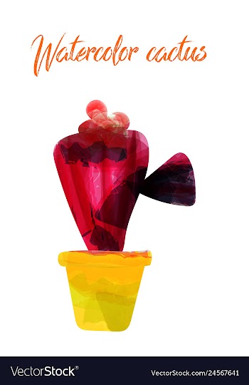 Cactus isolated on white background watercolor vector image