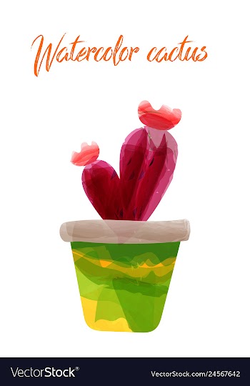 Cactus isolated on white background watercolor vector image