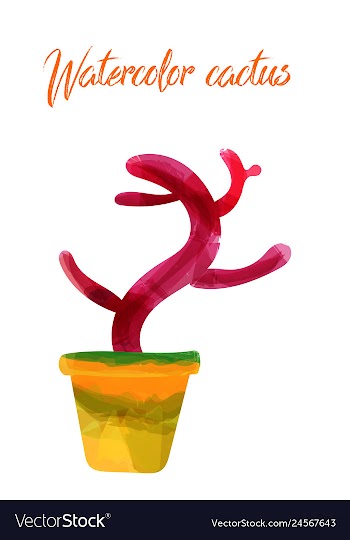 Cactus isolated on white background watercolor vector image