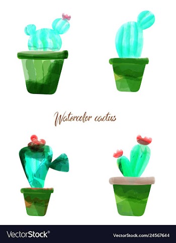 Cactus isolated on white background watercolor vector image