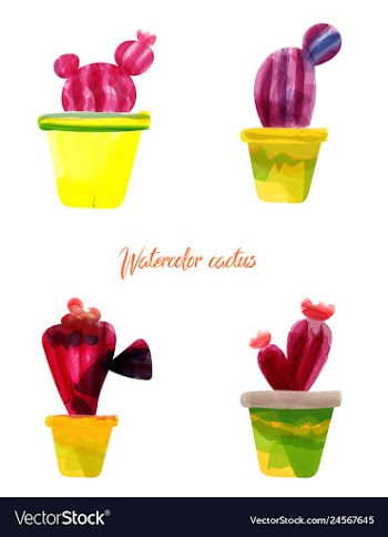 Cactus isolated on white background watercolor vector image