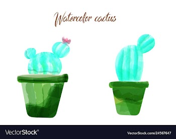 Cactus isolated on white background watercolor vector image