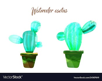 Cactus isolated on white background watercolor vector image