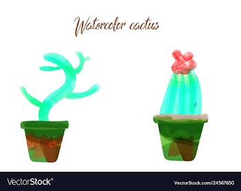 Cactus isolated on white background watercolor vector image