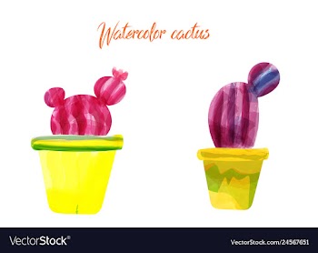 Cactus isolated on white background watercolor vector image