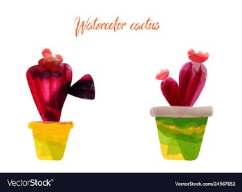 Cactus isolated on white background watercolor vector image