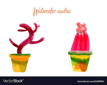 Cactus isolated on white background watercolor vector image