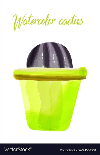 Cactus isolated on white background watercolor vector image