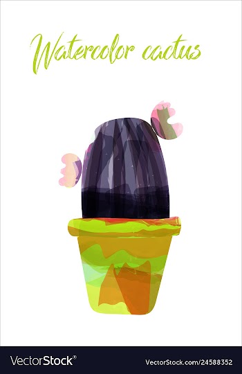 Cactus isolated on white background watercolor vector image