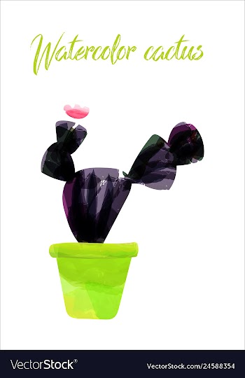 Cactus isolated on white background watercolor vector image