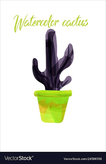 Cactus isolated on white background watercolor vector image