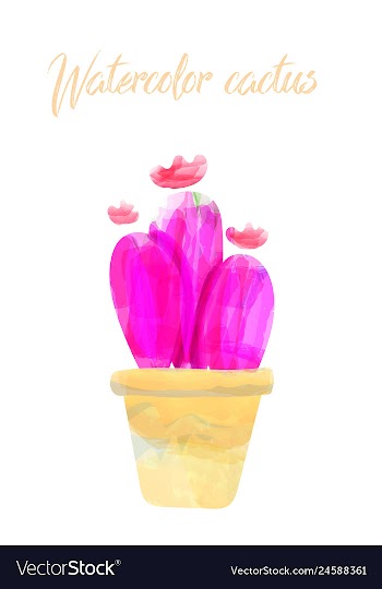 Cactus isolated on white background watercolor vector image