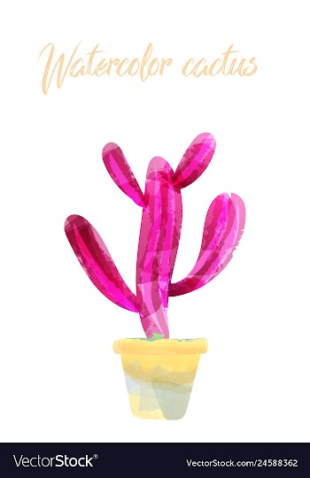 Cactus isolated on white background watercolor vector image