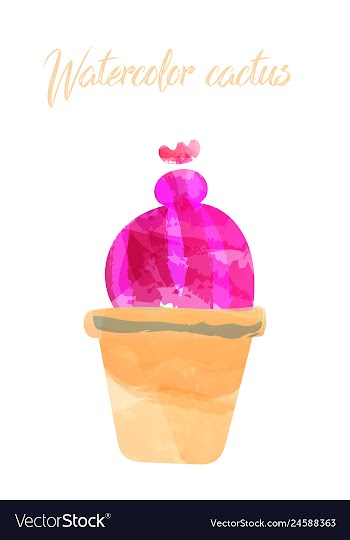 Cactus isolated on white background watercolor vector image