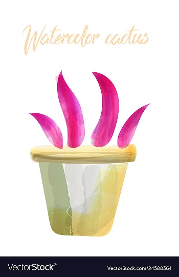 Cactus isolated on white background watercolor vector image