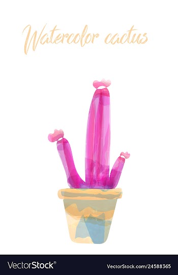 Cactus isolated on white background watercolor vector image
