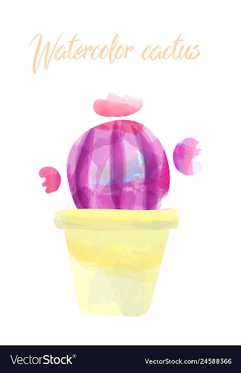 Cactus isolated on white background watercolor vector image