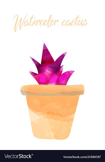 Cactus isolated on white background watercolor vector image