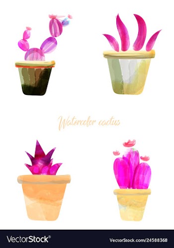 Cactus isolated on white background watercolor vector image
