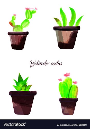 Cactus isolated on white background watercolor vector image