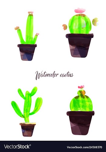 Cactus isolated on white background watercolor vector image