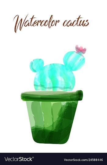Cactus isolated on white background watercolor vector image