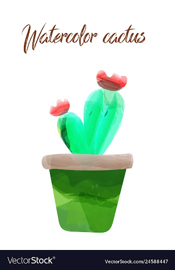 Cactus isolated on white background watercolor vector image
