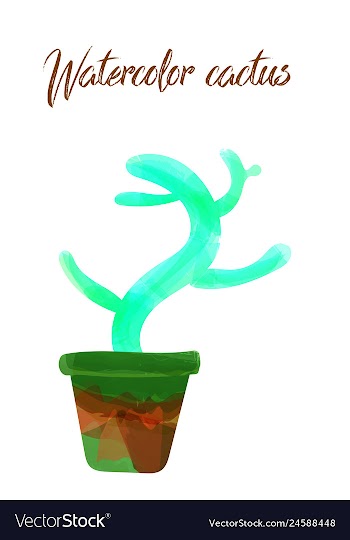 Cactus isolated on white background watercolor vector image