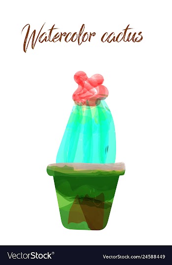 Cactus isolated on white background watercolor vector image