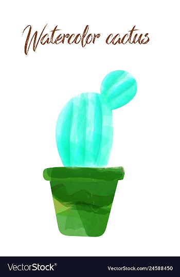 Cactus isolated on white background watercolor vector image