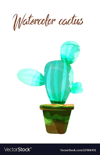 Cactus isolated on white background watercolor vector image