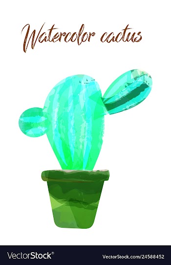 Cactus isolated on white background watercolor vector image