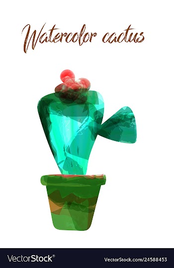 Cactus isolated on white background watercolor vector image