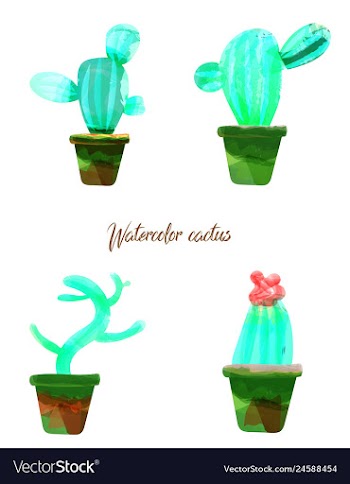 Cactus isolated on white background watercolor vector image