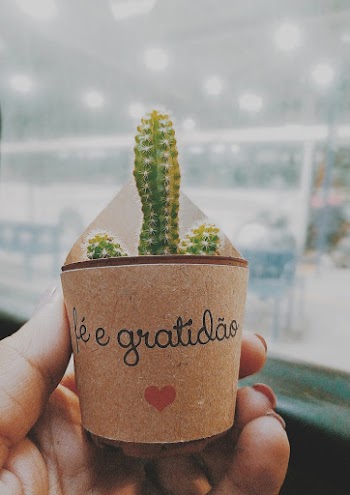 Cactus Plant