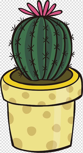 Cactus plant , Cactaceae , Cactus transparent background PNG clipart