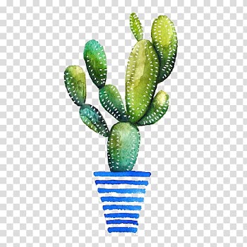 Cactus plant illustration, Watercolor painting Cactaceae Drawing Succulent plant, cactus transparent background PNG clipart