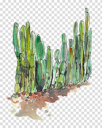 Cactus plants illustration, Cactaceae Desert Succulent plant Cactus fence, cactus transparent background PNG clipart