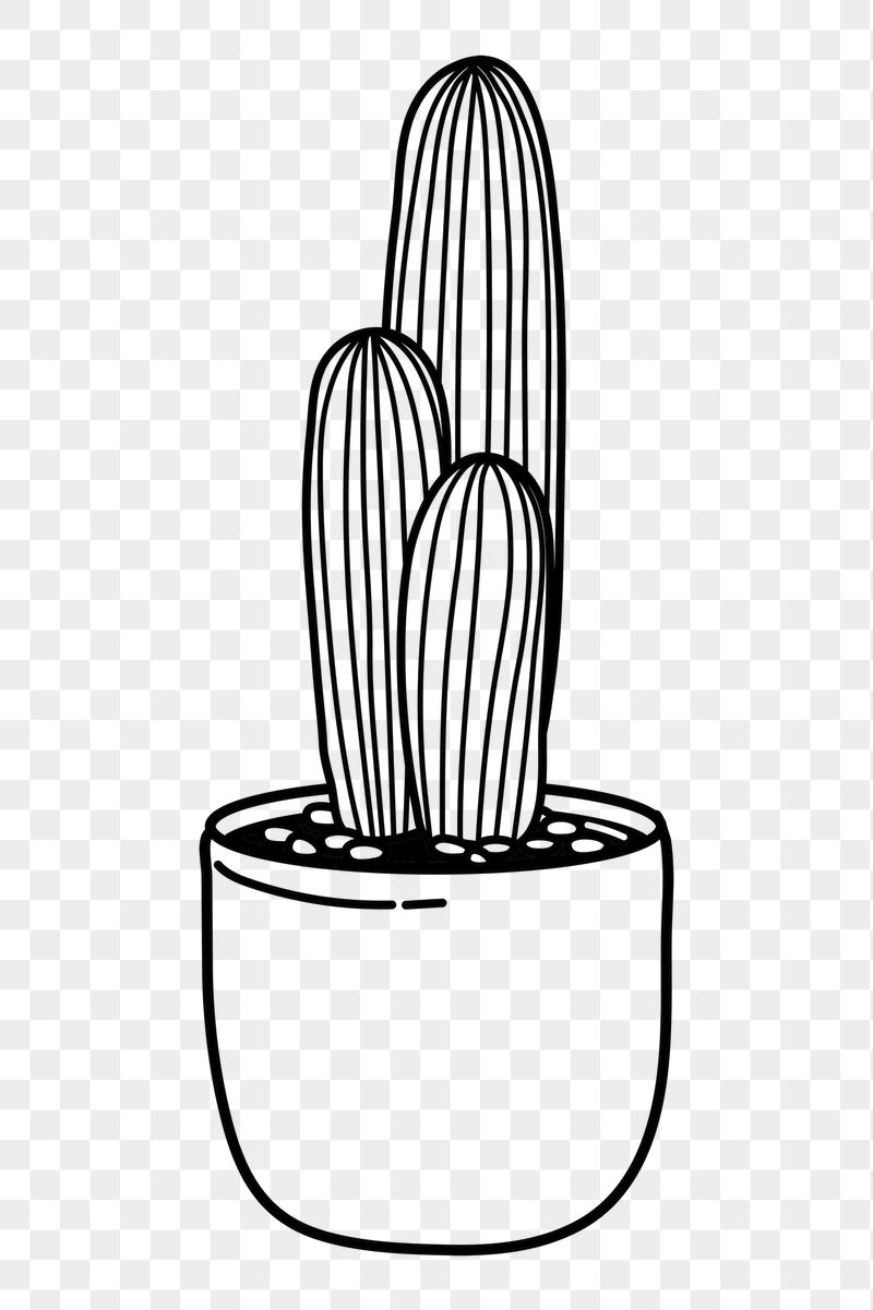 Cactus png doodle sticker, black | Free PNG Illustration - rawpixel