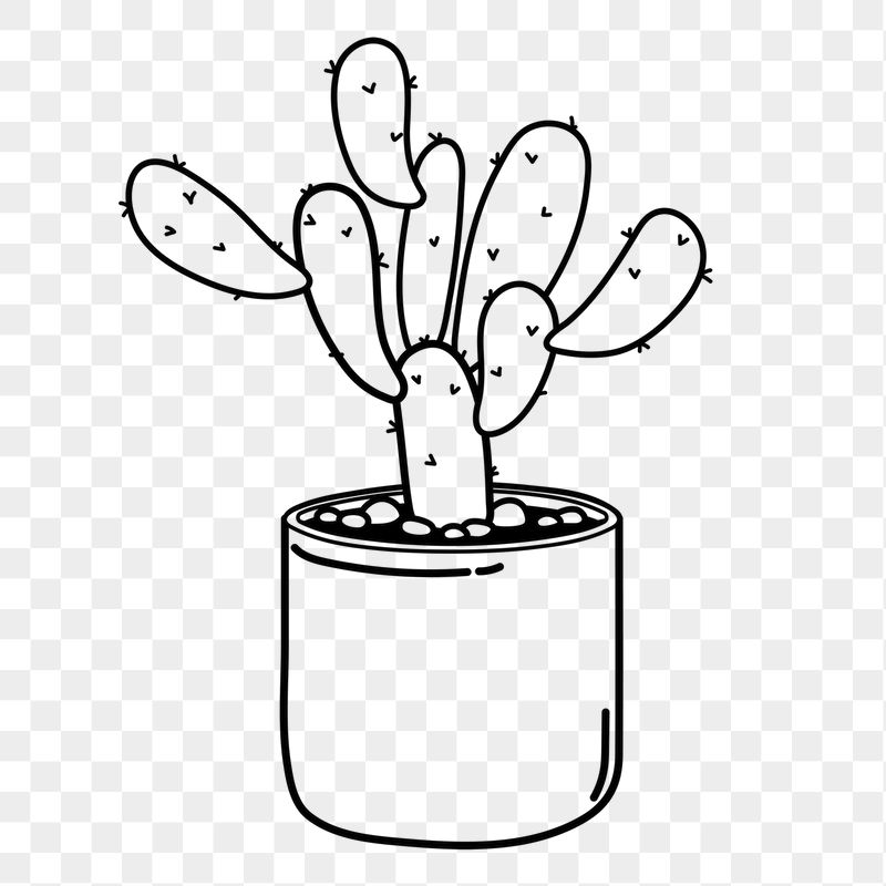 Cactus png doodle sticker, black | Free PNG Illustration - rawpixel