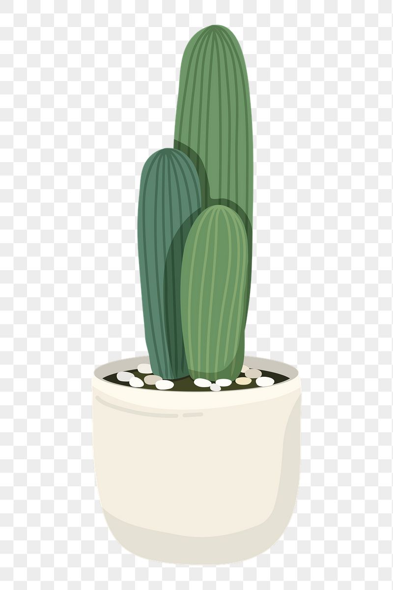 Cactus png sticker, cute illustration, | Free PNG Illustration - rawpixel
