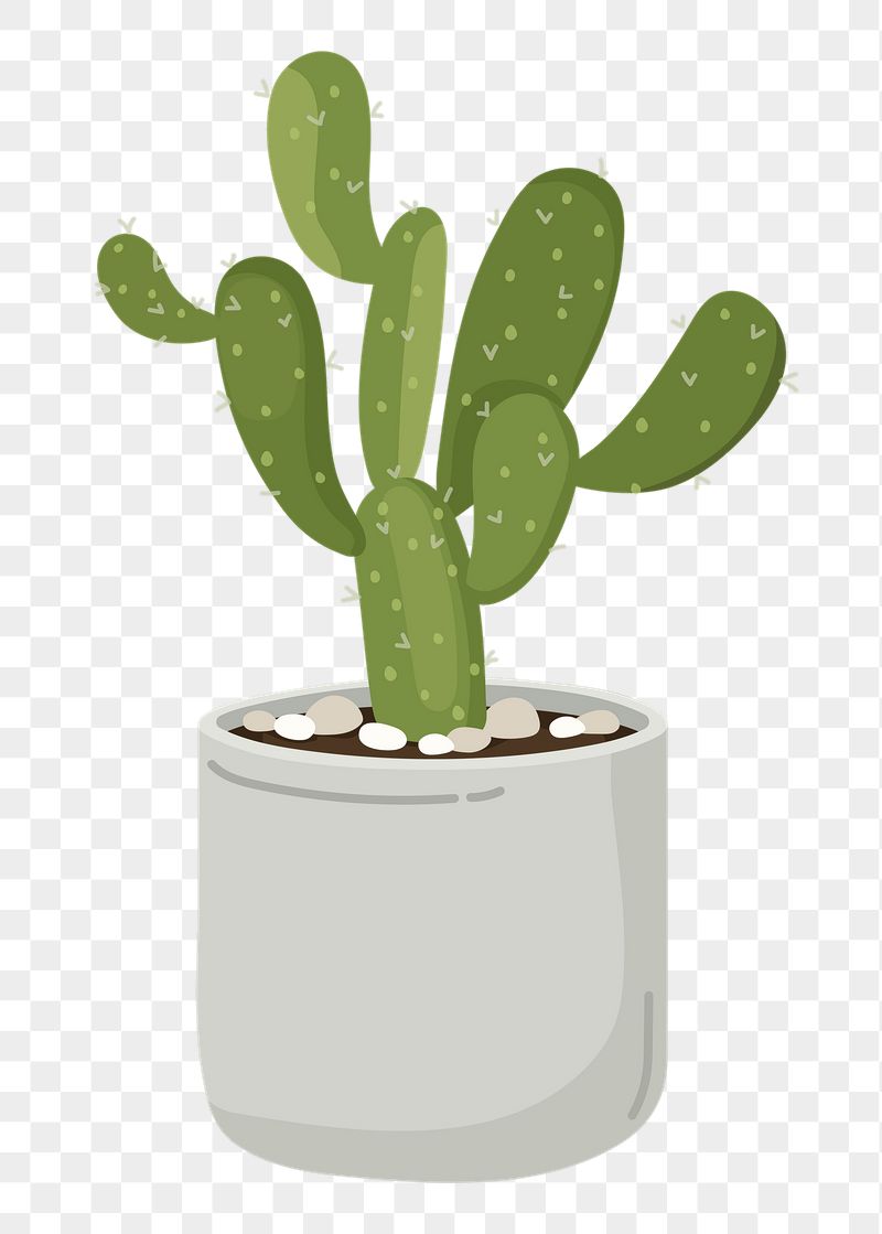Cactus png sticker, cute illustration, | Free PNG Illustration - rawpixel