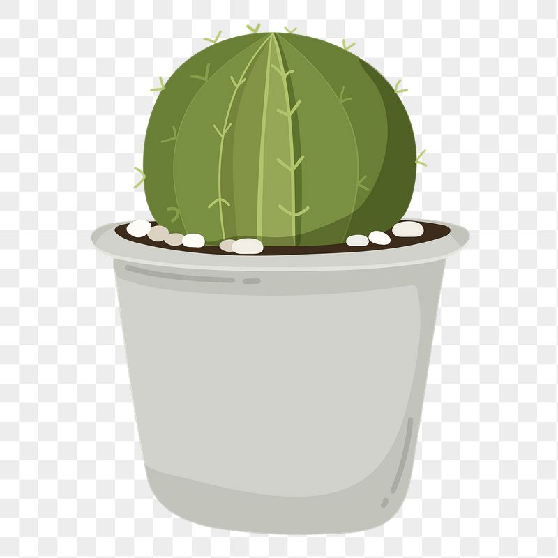 Cactus png sticker, cute illustration, | Free PNG Illustration - rawpixel
