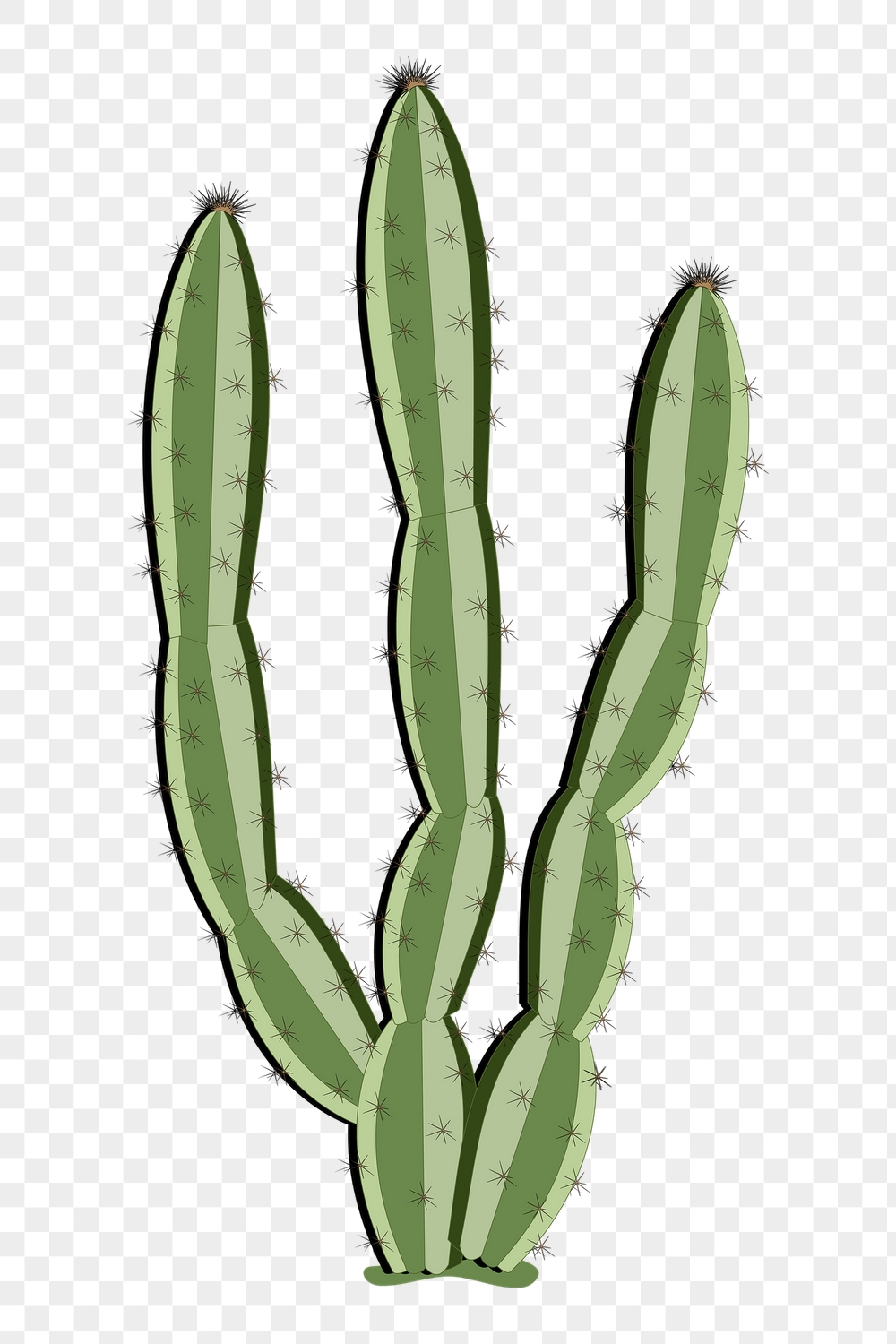 Cactus png sticker plant illustration, | Free PNG - rawpixel
