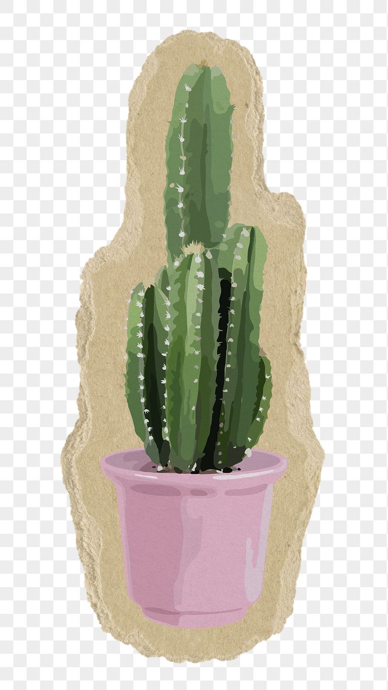 Cactus png sticker, torn paper | Free PNG Illustration - rawpixel