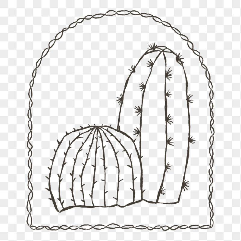 Cactus png sticker, transparent background | Free PNG - rawpixel